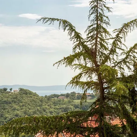 Bed & Breakfast Terra Labin (Istria)